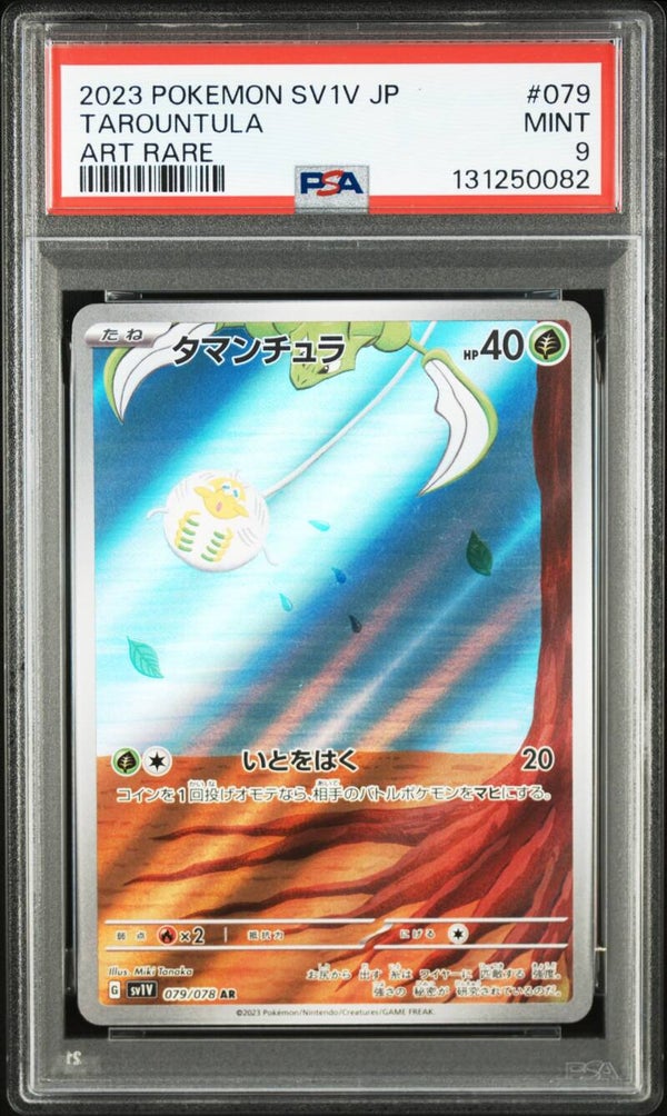 Tissemboule AR PSA 9