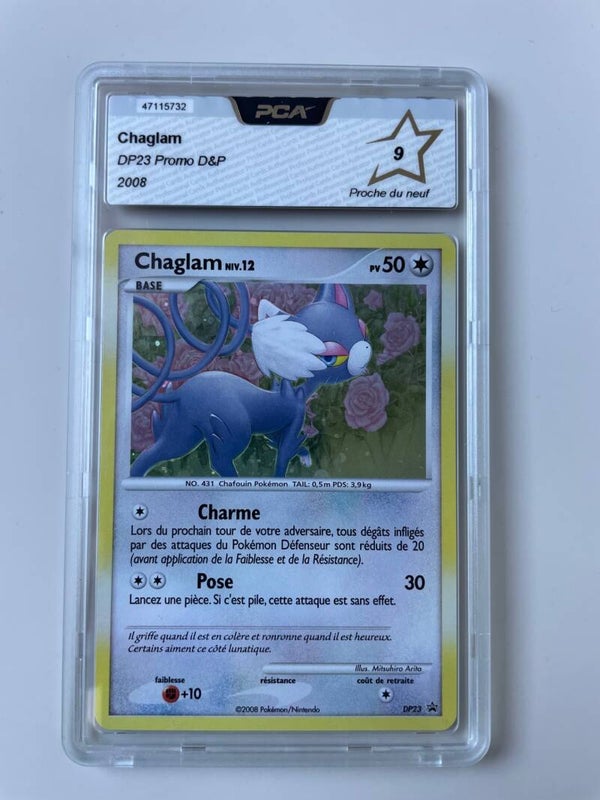 Chaglam holo PCA 9