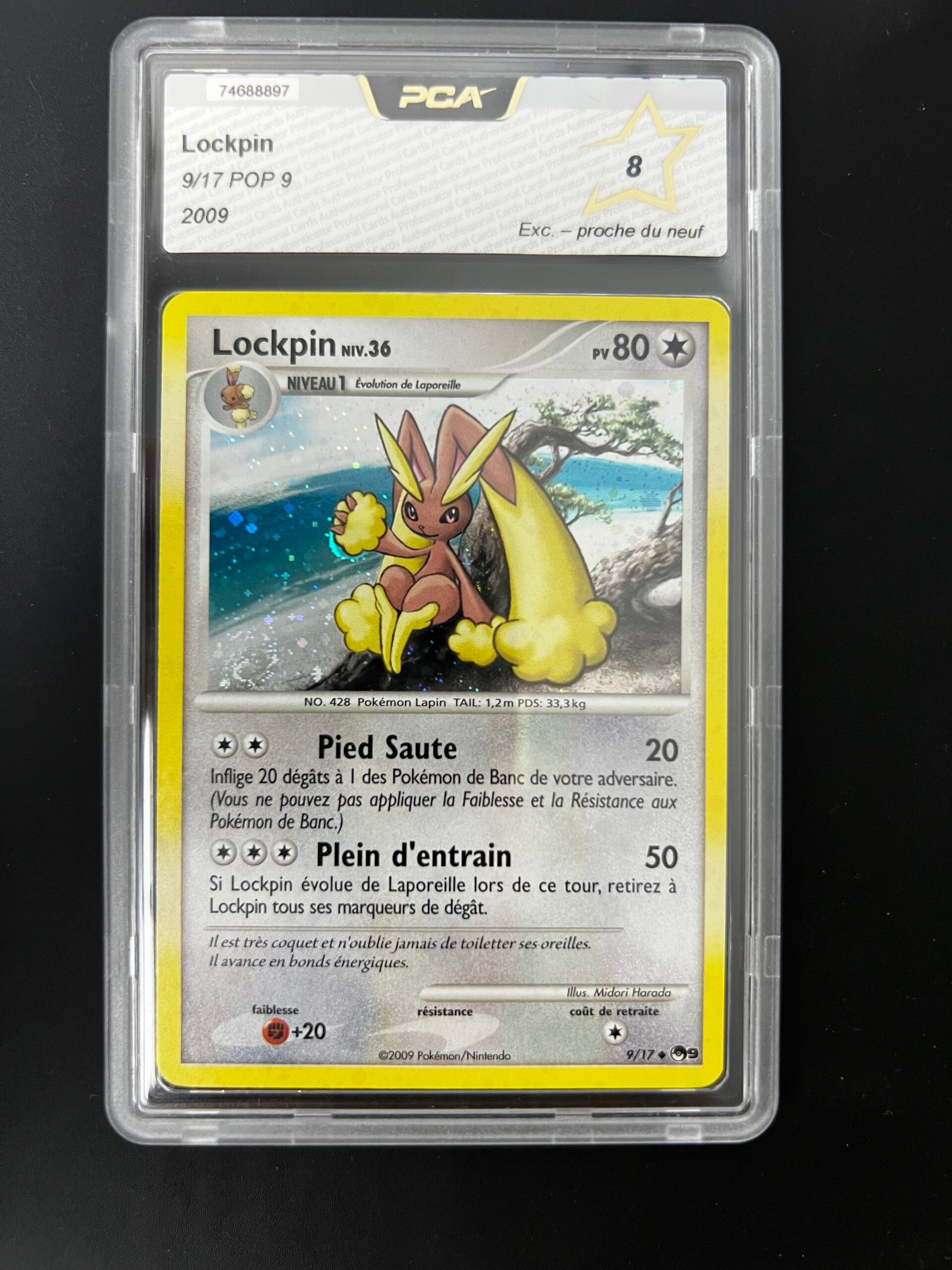 Lockpin holo PCA 8