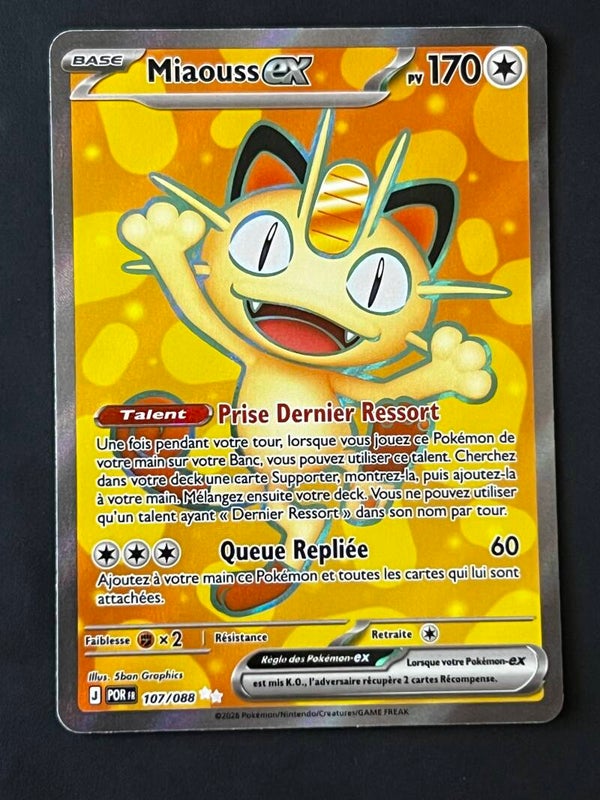 Miaouss FA EX 107/088