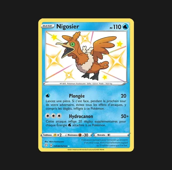 Nigosier shiny