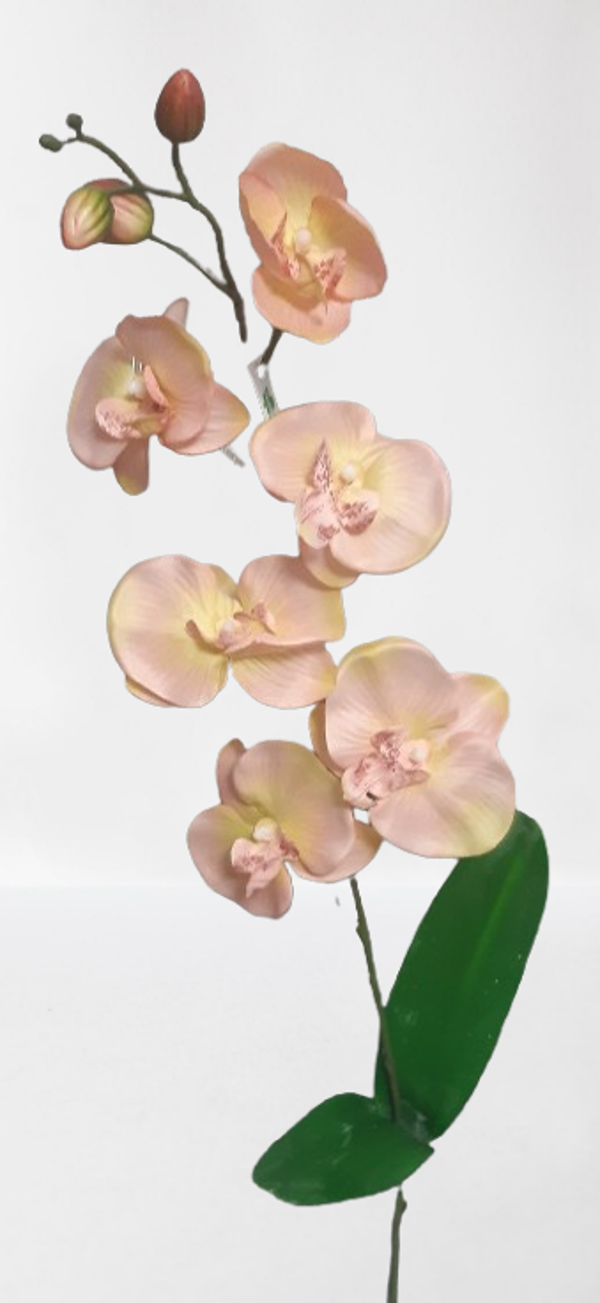 Storczyk – gałązka, 86 cm, herbaciany, kod: 043019