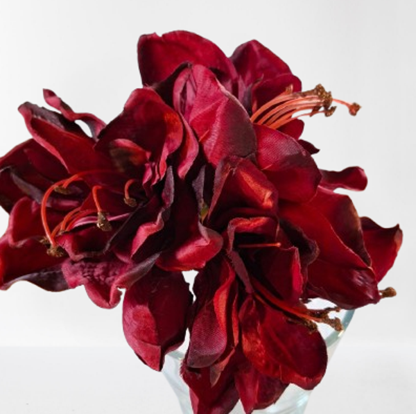 Amarylis Satyna – 74 cm, , bordo, kod: 090435