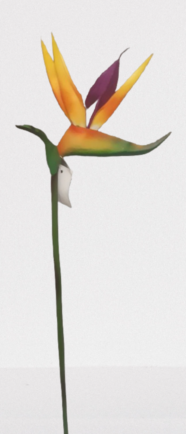 Strelicja z lateksu, 60 cm, 12 sztuk,  kod: 10041