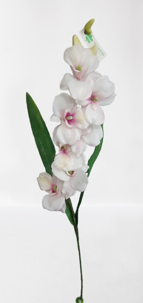 Storczyk Phalaenopsis, 80 cm, kod: 101500