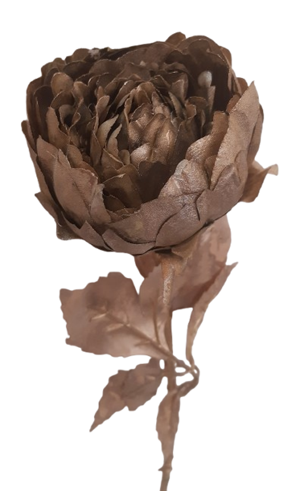 Piwonia złota (70 cm), kod: 1021