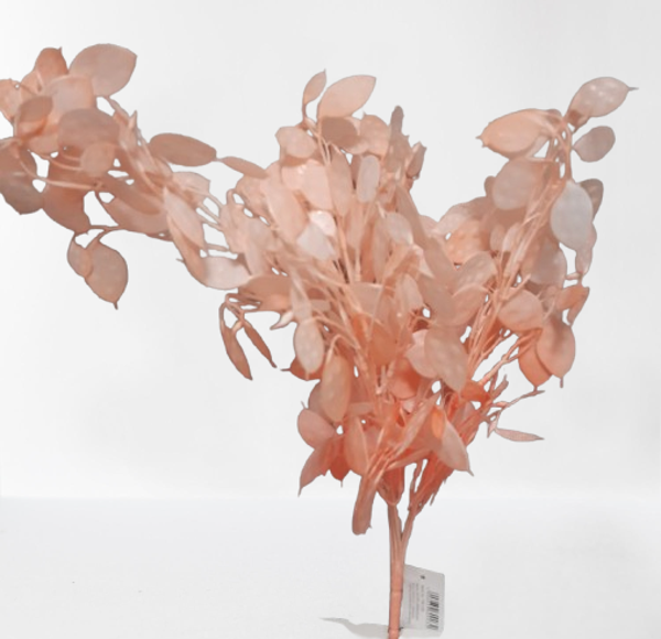 Srebrniki – wiązka, 50 cm (7 gałązek), łosoś, kod: 139