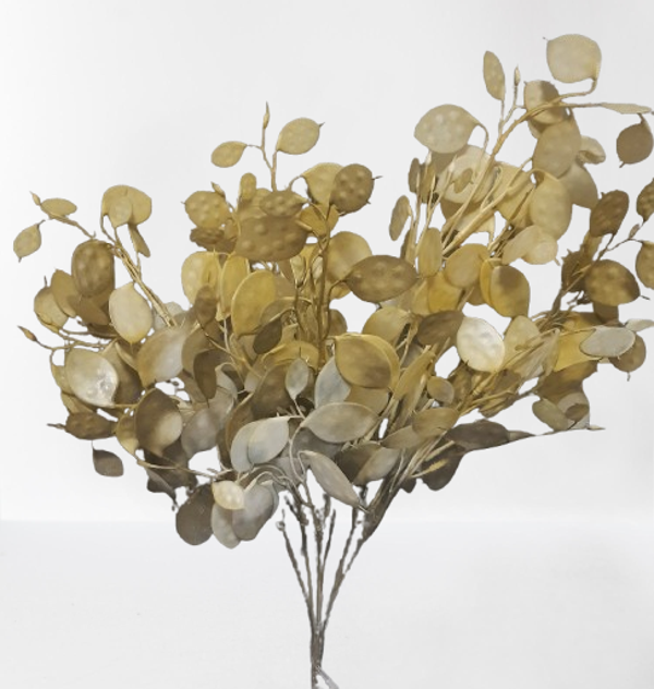 Srebrniki – wiązka, 50 cm (7 gałązek), zielonkawy, kod: 139