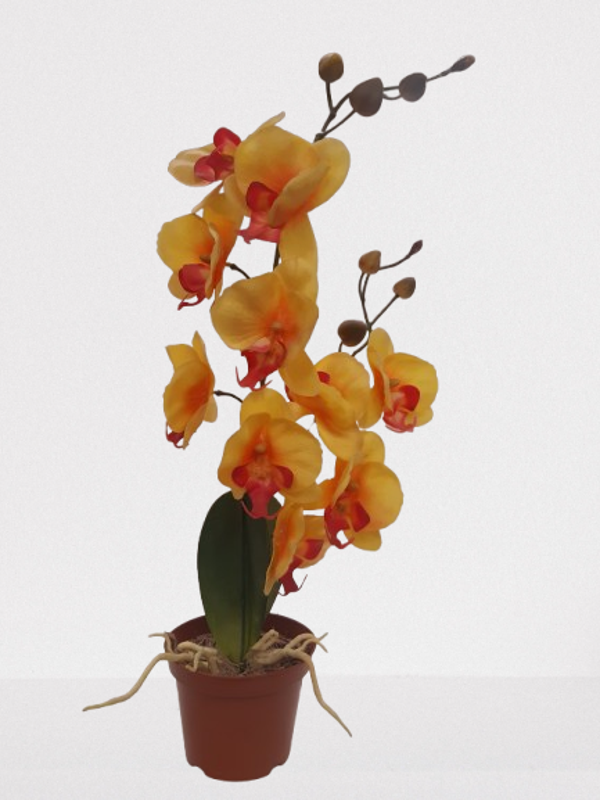 Storczyk Phalaenopsis,  lateks, 50 cm, żółty, kod: 161162