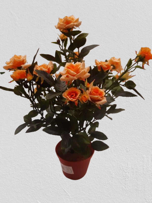 Róża mini 33 cm, łosoś,  kod: 1801
