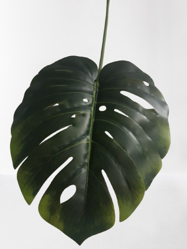 Liść filodendronu, gumowy– 73 cm, kod: 185