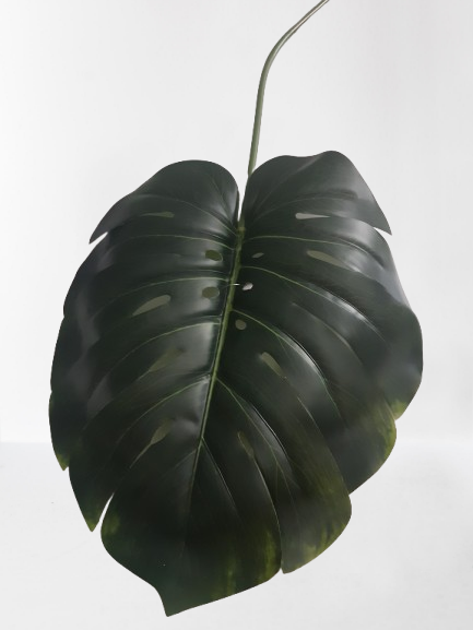 Liść filodendronu, gumowy – 79 cm, kod: 186