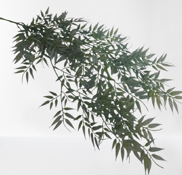 Ruskus – zwis, 84 cm, zielony, kod: 202242