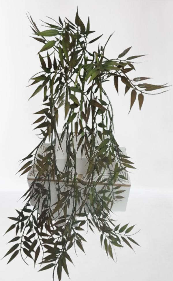 Ruskus – zwis, 84 cm, zielony z czerwonym, kod: 202242