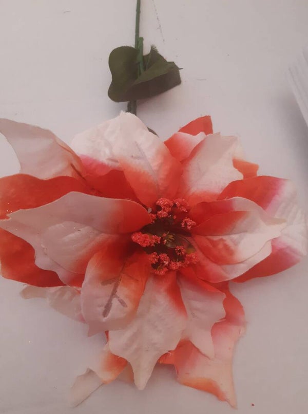Poinsecja  pomarańczowa 60 cm, kod: 1403