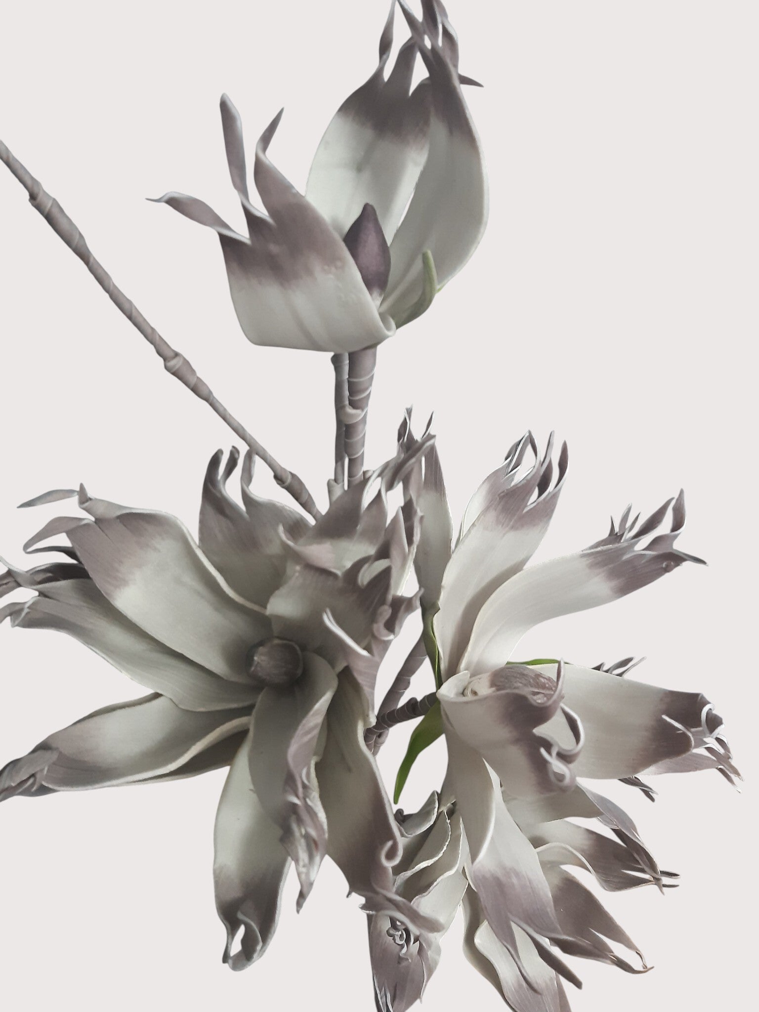 Gałązka egzotyczna z pianki, 110 cm, kod: 2480b