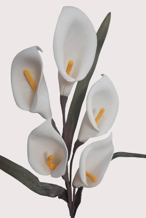 Calla z pianki, 5 kwiatów z liśćmi, 105 cm, biały, kod: 1073