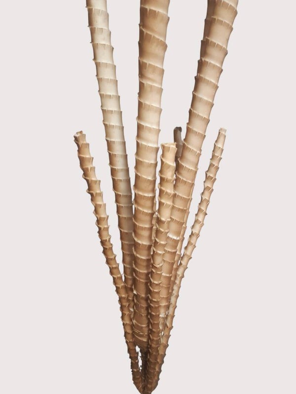 Pałki dekoracyjne z pianki, 122 cm, brąz, kod: 71203