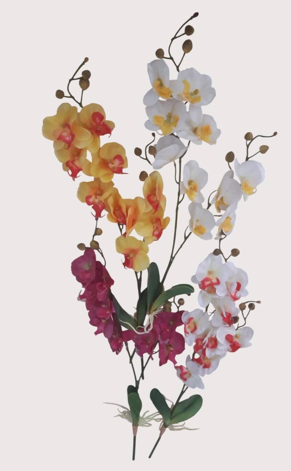 Storczyk Phalaenopsis, lateks – 67 cm, 2 pędy, mix kolor, kod: 161162, 4 sztuki