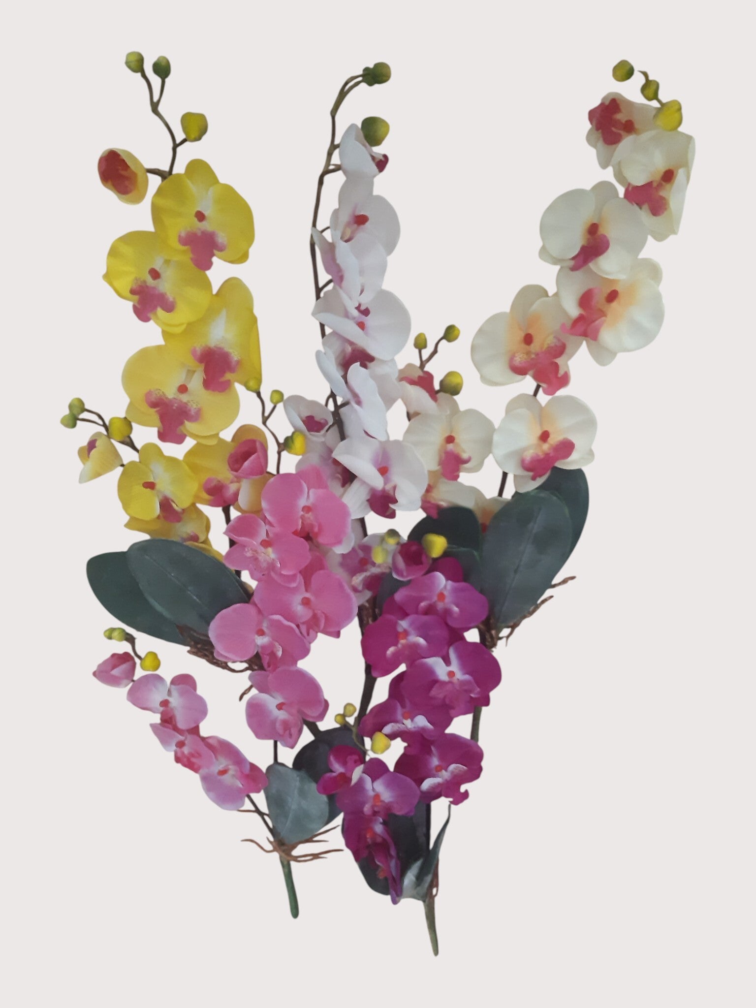 Storczyk Phalaenopsis, 65 cm – mix kolorów, kod: 13106