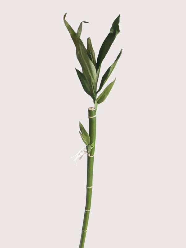 Bambus dekoracyjny z liśćmi i korzonkami, 124 cm, kod: 19259