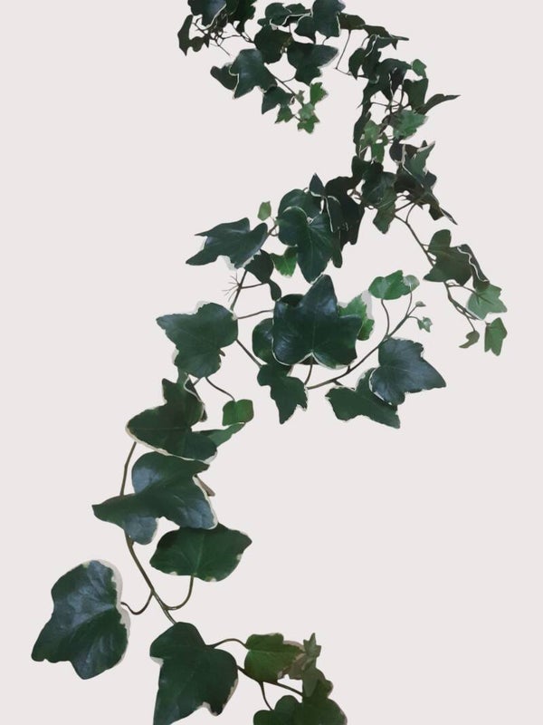 Bluszcz dekoracyjny, 190 cm, kod: 5730