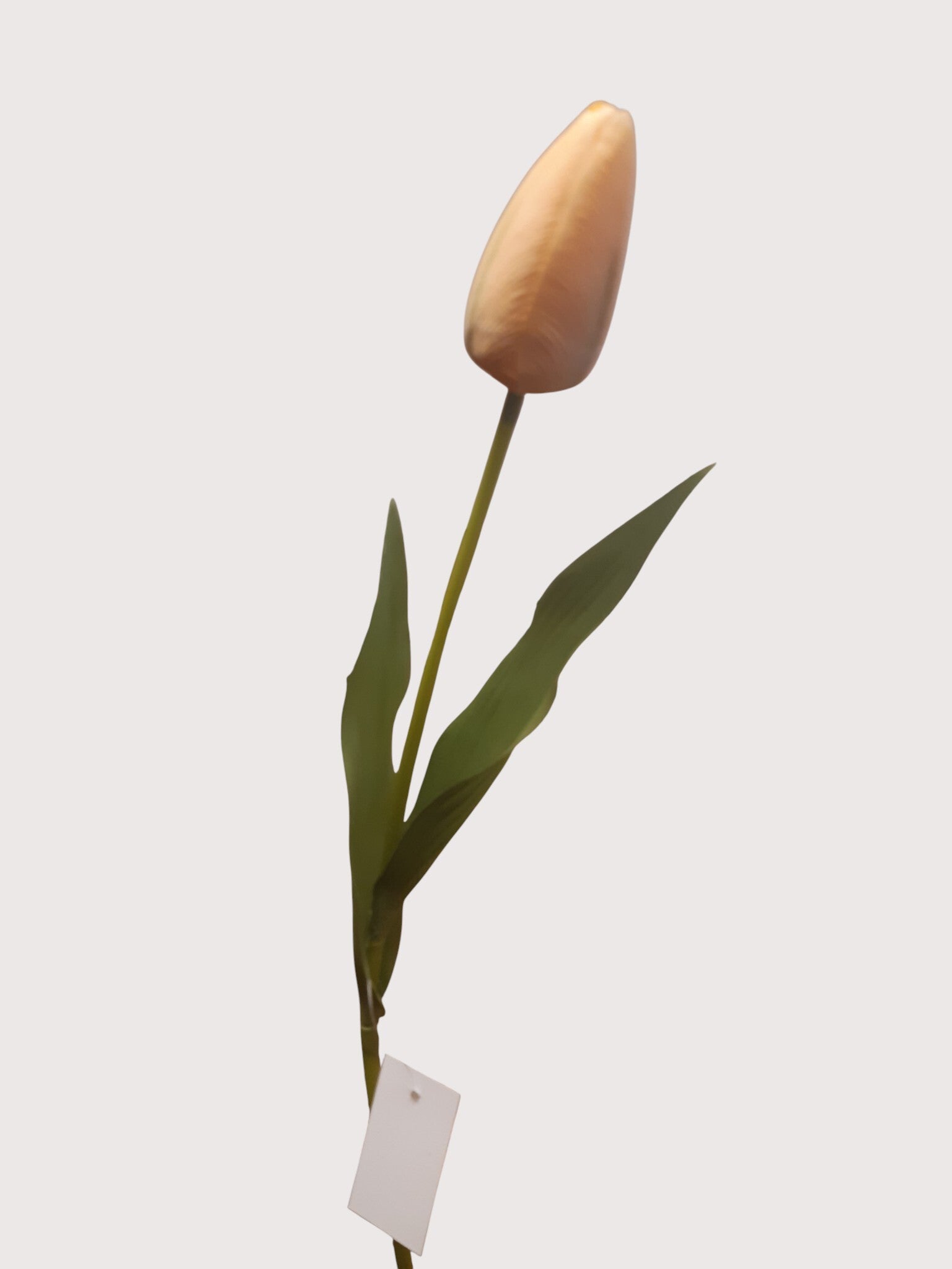 Tulipan dekoracyjny, 45 cm, kod: 463?