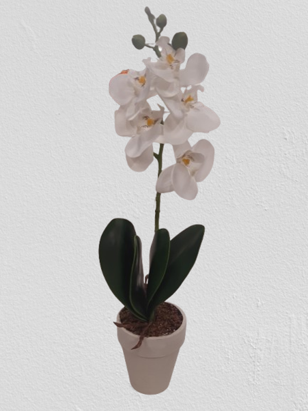 Storczyk Phalaenopsis , satyna 42 cm kod: 2301