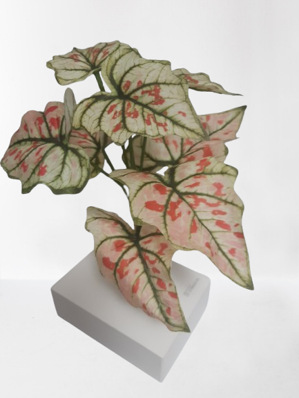 Kroton – liście na piku, 28 cm, kod: 3051