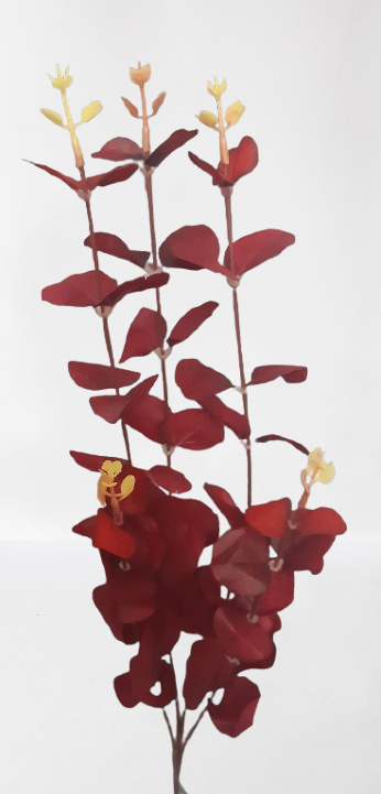Eukaliptus na piku, 4 gałązki, 63 cm, bordo, kod: 3196