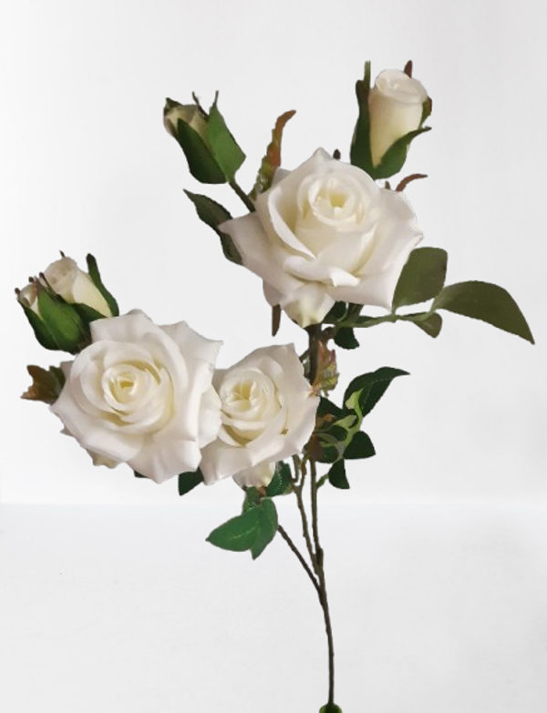 Róża mini – gałązka ogrodowa, 75 cm, kod: 4944