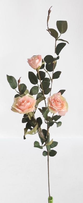 Róża gałązkowa, 80 cm, łosoś, kod: 4944