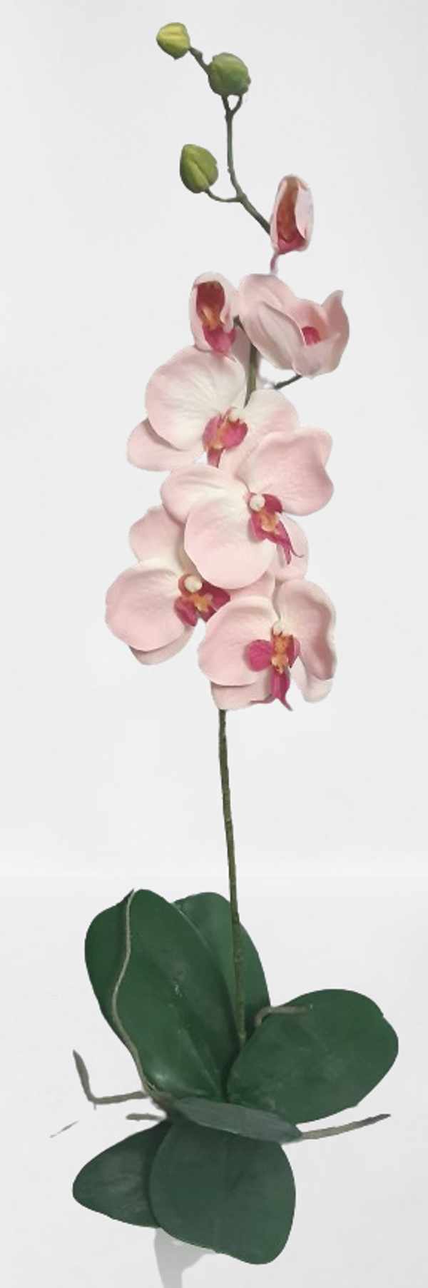 Storczyk – 77 cm, różowy, kod: 52812