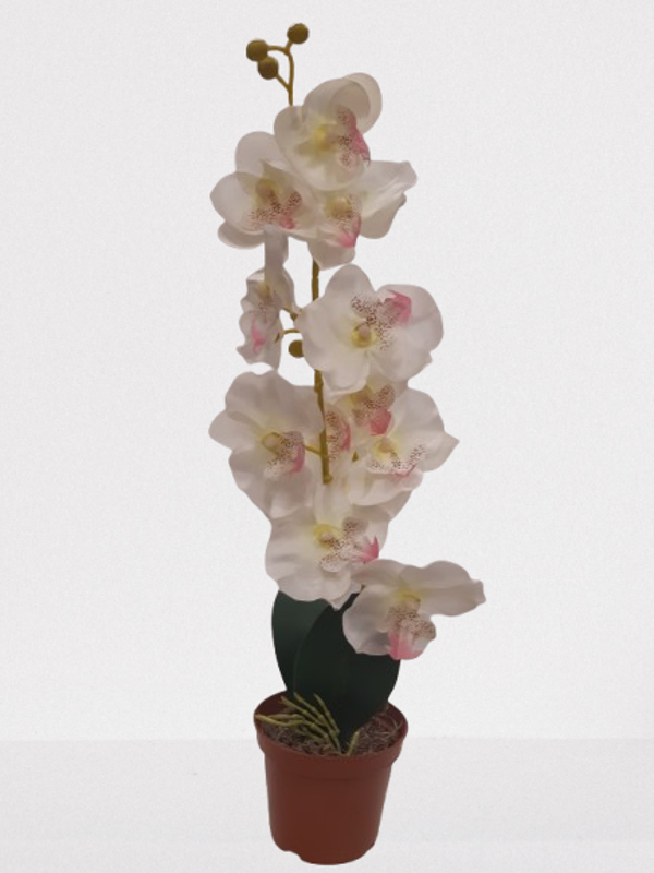 Storczyk Phalaenopsis, satyna 50 cm, biało-różowy, kod: 61006