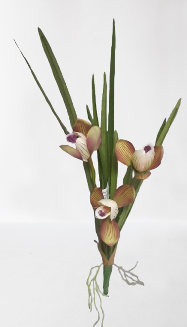 Storczyk Cymbidium mini – na piku, 38 cm, biało-fioletowy, kod: 6186