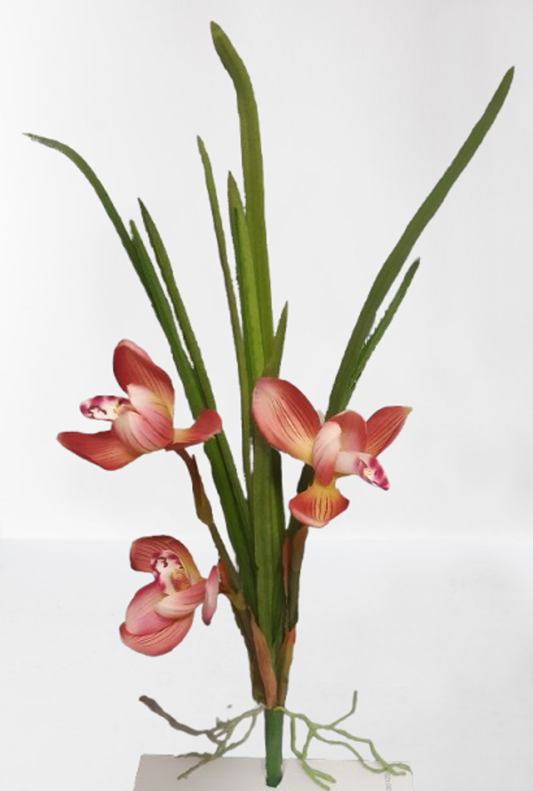 Storczyk Cymbidium mini – na piku, 38 cm, różowy, kod: 6186