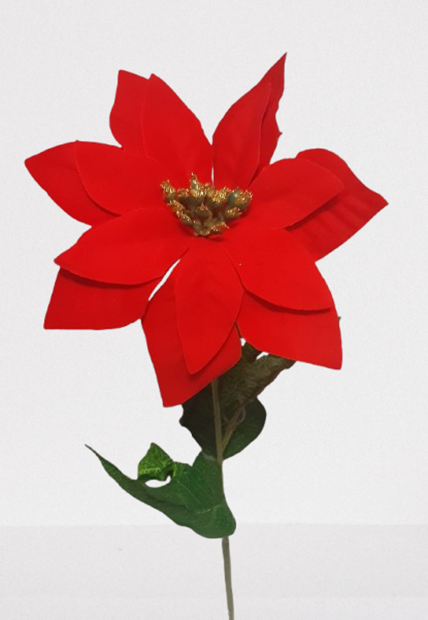 Poinsecja – welurowa, 50 cm, kwiat 16 cm, kod: 625