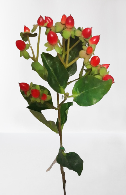 Dziurawiec – gałązka dekoracyjna, 50 cm,  ( 12 sztuk ), kod: 6331