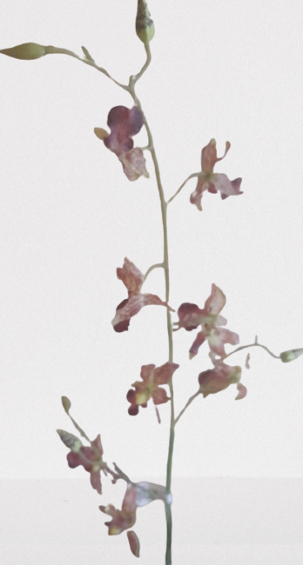 Storczyk mini – 70 cm, guma (zestaw 12 sztuk), kod: 6828