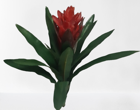 Guzmania – krzaczek dekoracyjny, 32 cm, kod: 7069