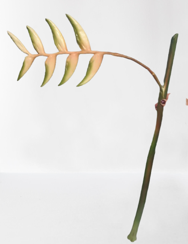 Helikonia (kwiat papugi) – 120 cm, silikon, kod: 71203