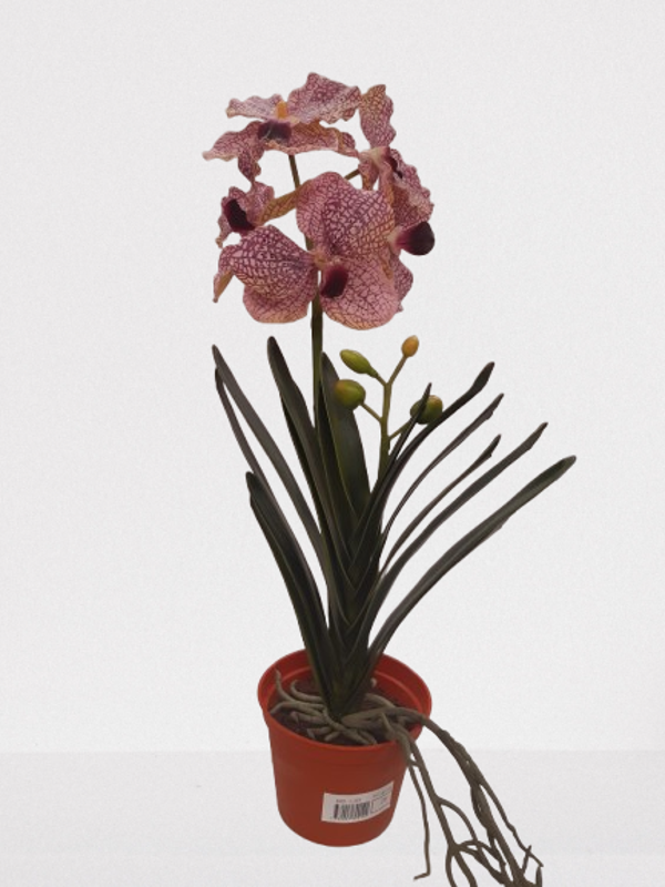 Storczyk Wanda, guma, 50 cm, kod: 8901