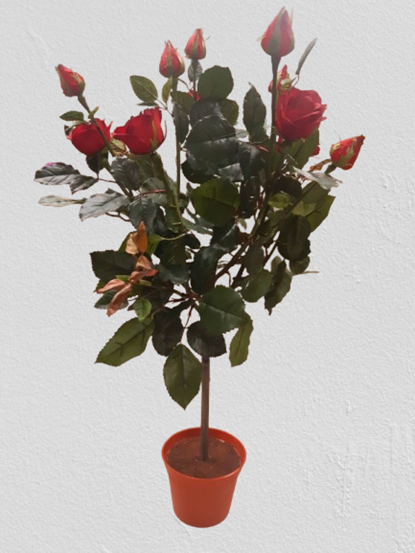 Róża Lady 65 cm kod: 96165