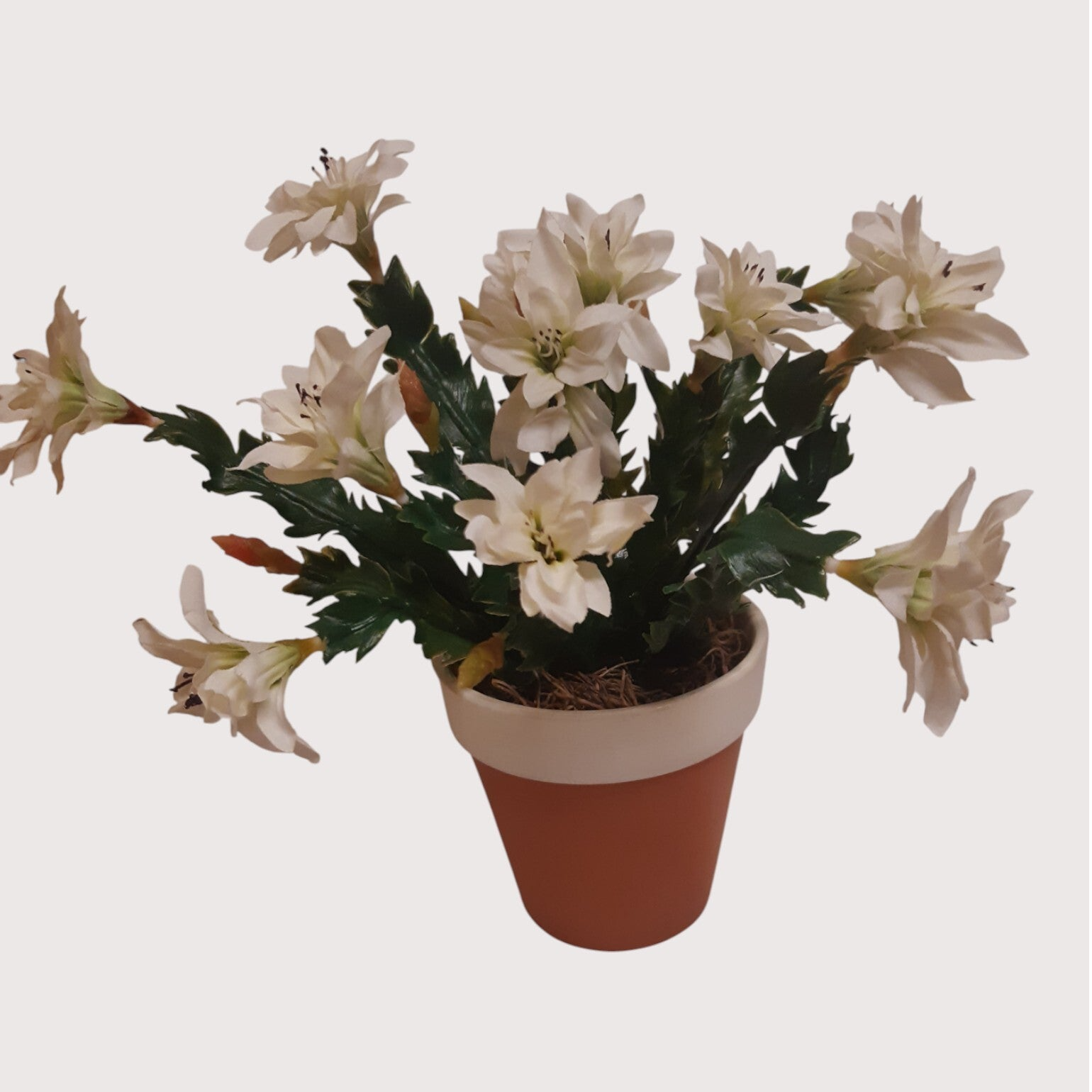 Kaktus z kwiatkami – dekoracja w doniczce, 26 cm, od: 1452400a