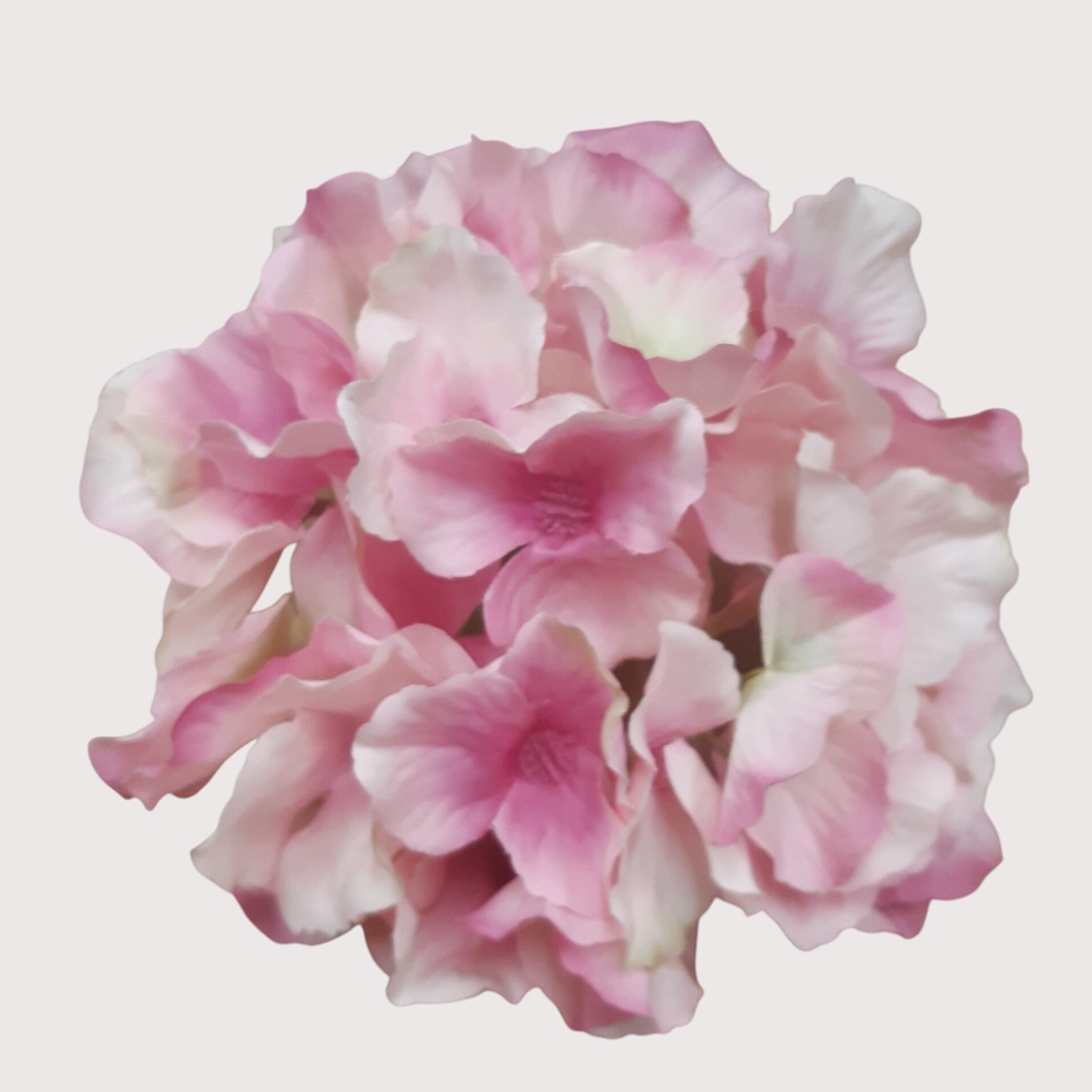 Hortensja wyrobowa, 15 cm, różowy, kod: 644