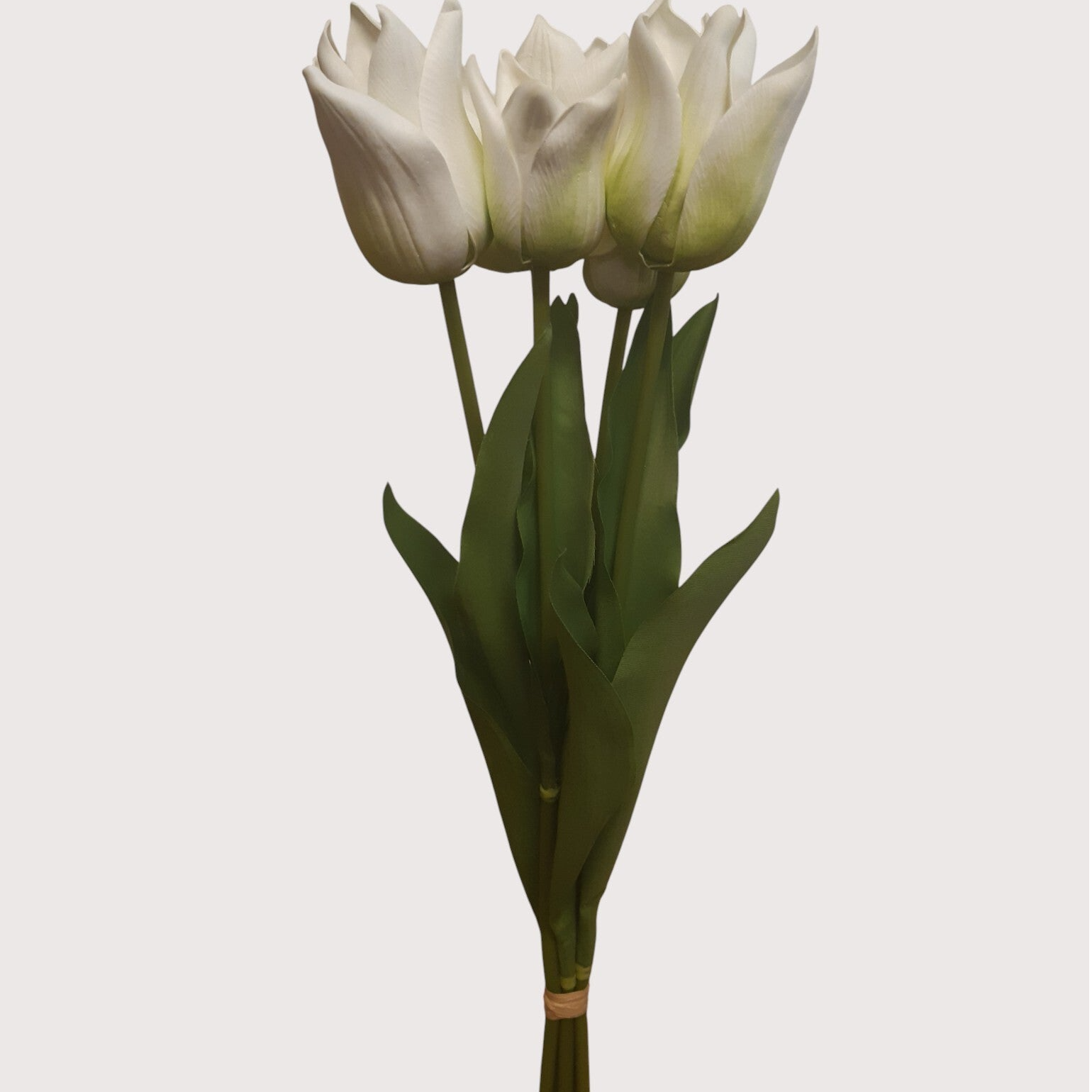 Tulipany – wiązka 5 szt., 57 cm, biały, kod: 3150