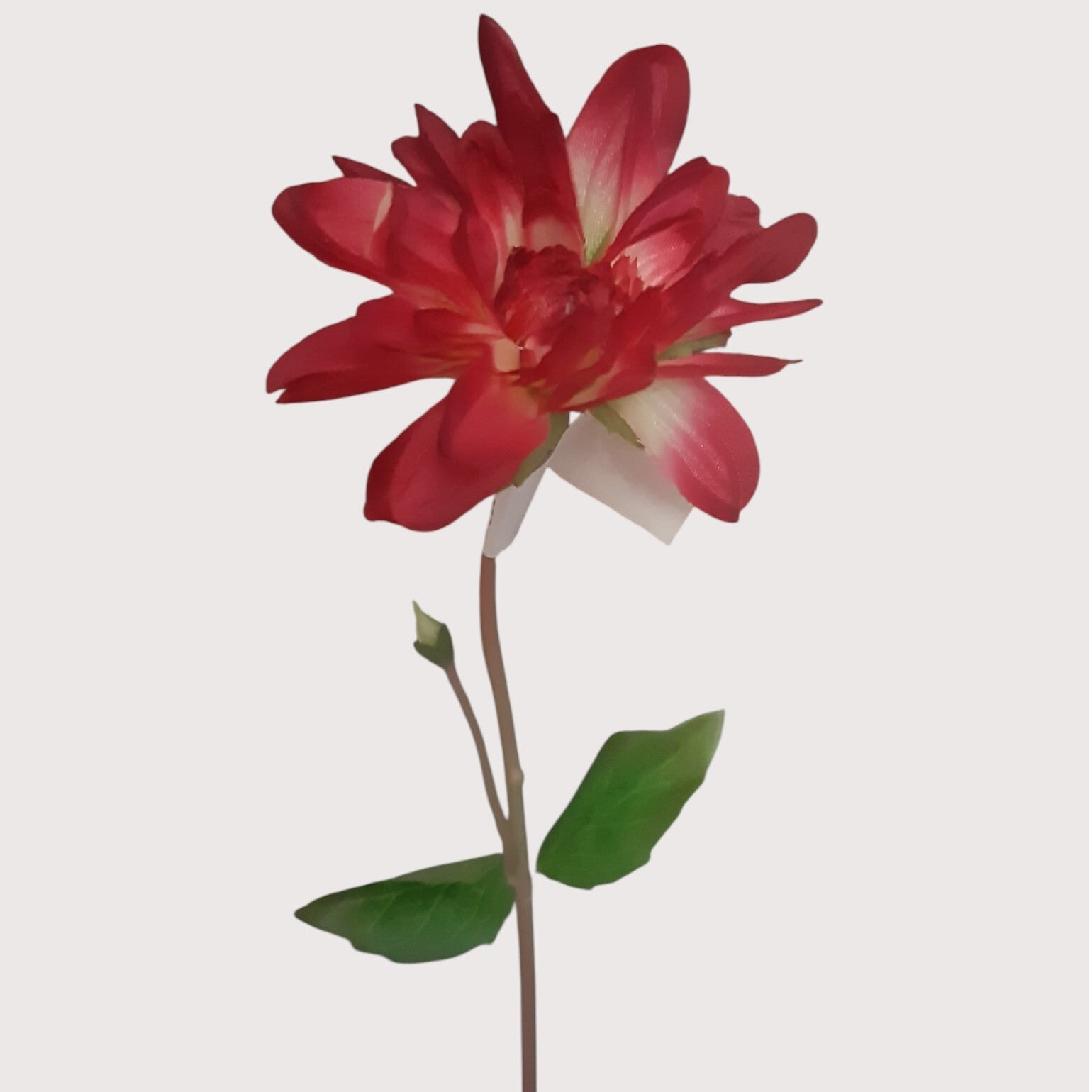 Dalia – 33 cm, czerwony, kod: 544234