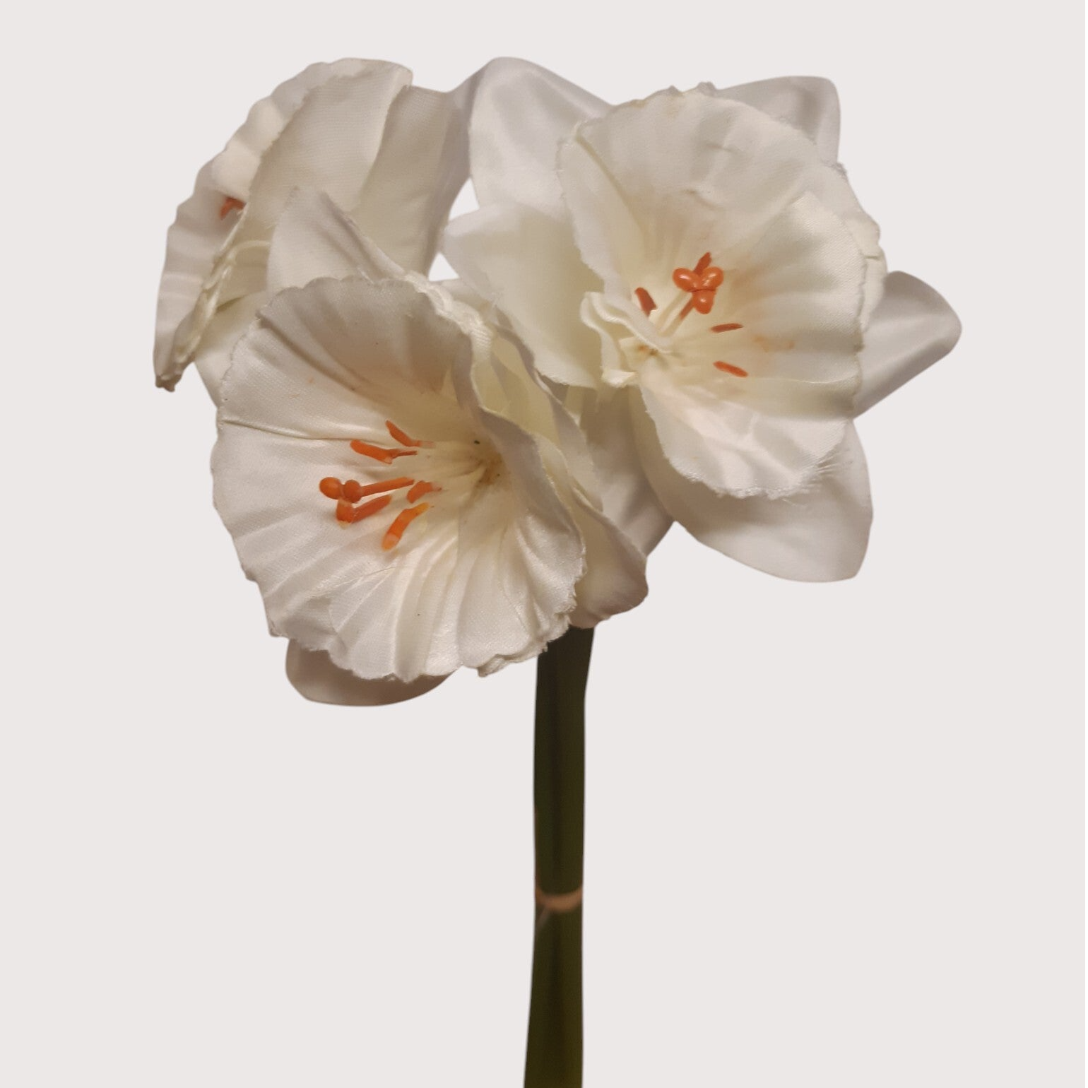 Żonkil – wiązka dekoracyjna, 38 cm, biały, kod: 592