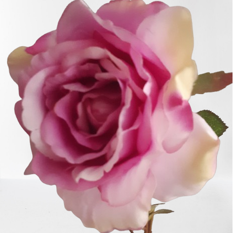 Róża – gałązka, 76 cm, kod: 48315