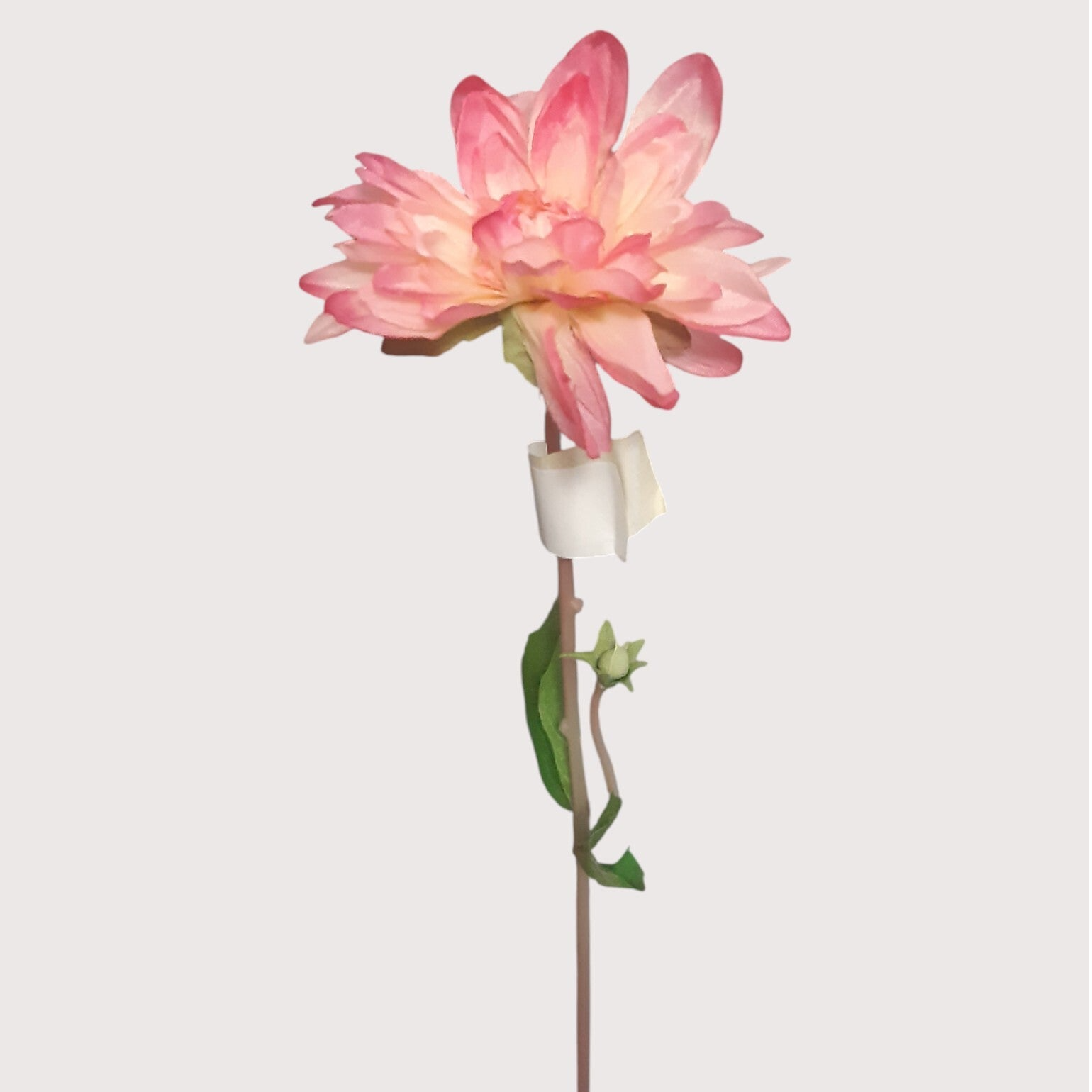 Dalia – 33 cm, jasny róż, kod: 544234